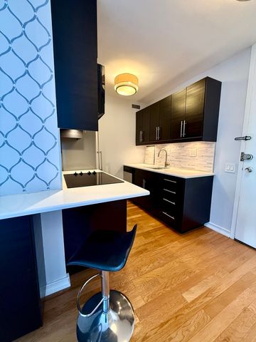 900 N Lake Shore Drive 2405, Chicago, IL 60611