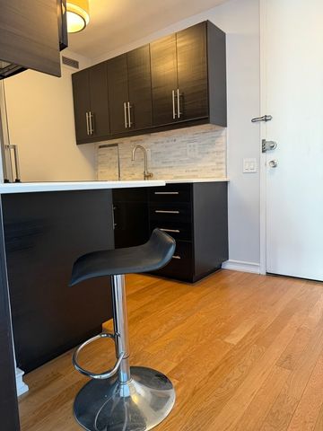 900 N Lake Shore Drive 2405, Chicago, IL 60611