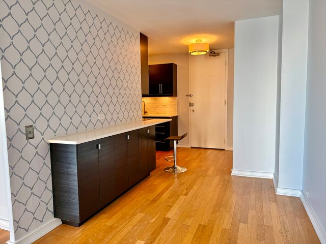 900 N Lake Shore Drive 2405, Chicago, IL 60611