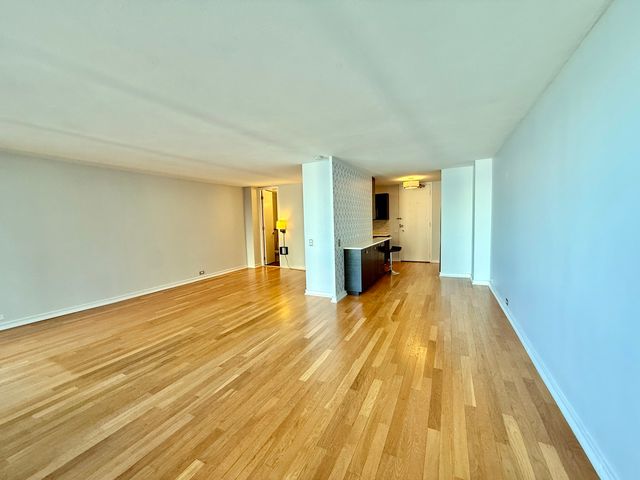 900 N Lake Shore Drive 2405, Chicago, IL 60611