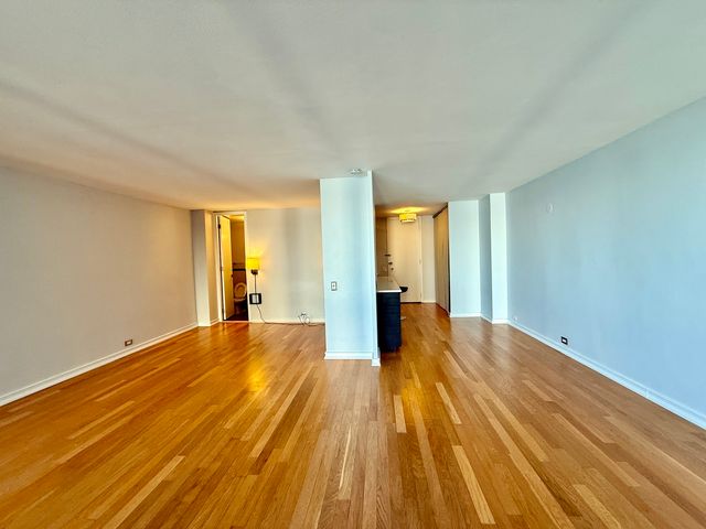 900 N Lake Shore Drive 2405, Chicago, IL 60611