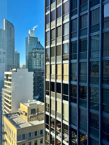 900 N Lake Shore Drive 2405, Chicago, IL 60611