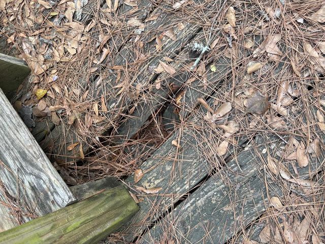 101 W. Russell, Enterprise, AL 36330