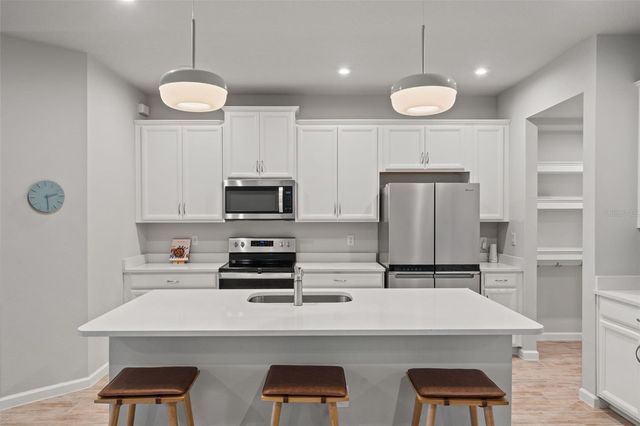 26069 WOVEN WICKER BEND, Lutz, FL 33559