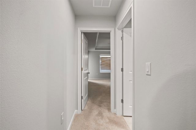 26069 WOVEN WICKER BEND, Lutz, FL 33559