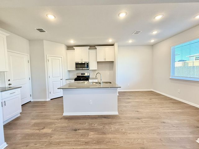 11317 Zip Cochise WAY, Austin, TX 78653