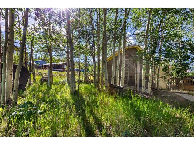 135 S Main St, Alma, CO 80420
