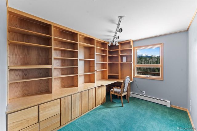 1008 Cantiberry Road, Divide, CO 80814