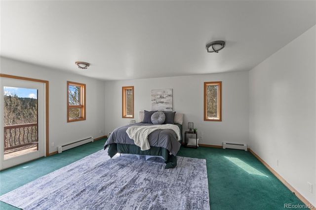 1008 Cantiberry Road, Divide, CO 80814