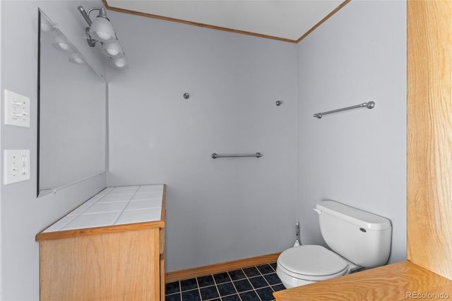 1008 Cantiberry Road, Divide, CO 80814