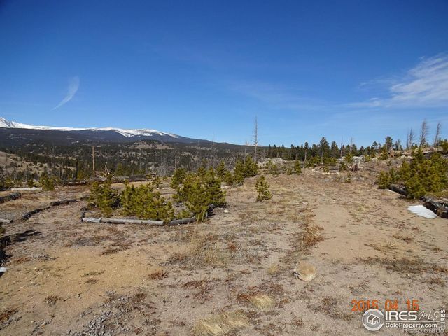 2315 Ridge Road, Nederland, CO 80466