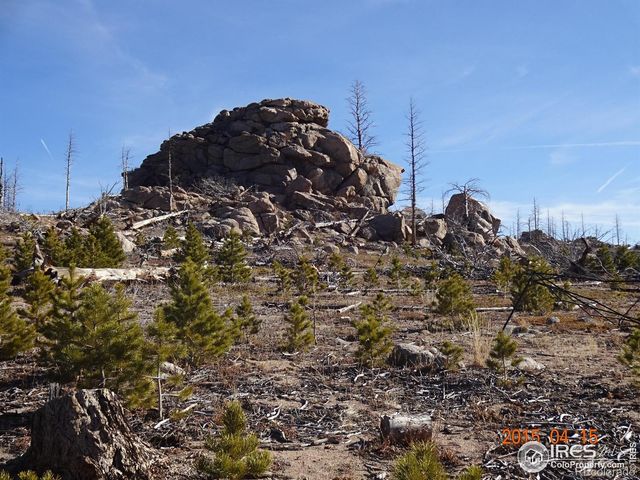 2315 Ridge Road, Nederland, CO 80466