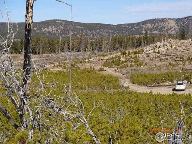 2315 Ridge Road, Nederland, CO 80466