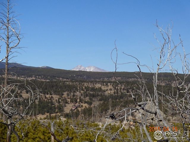 2315 Ridge Road, Nederland, CO 80466
