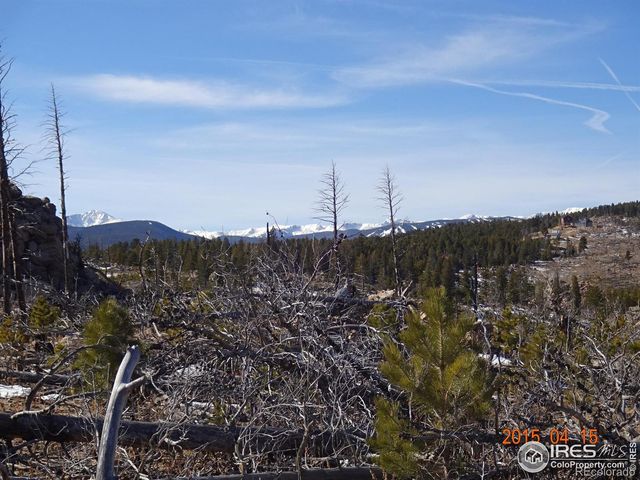 2315 Ridge Road, Nederland, CO 80466