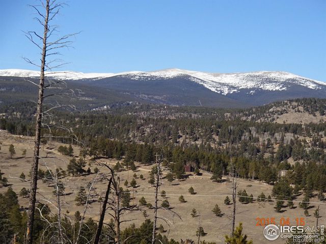 2315 Ridge Road, Nederland, CO 80466