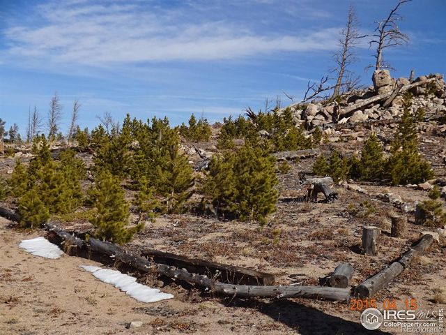 2315 Ridge Road, Nederland, CO 80466