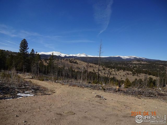2315 Ridge Road, Nederland, CO 80466