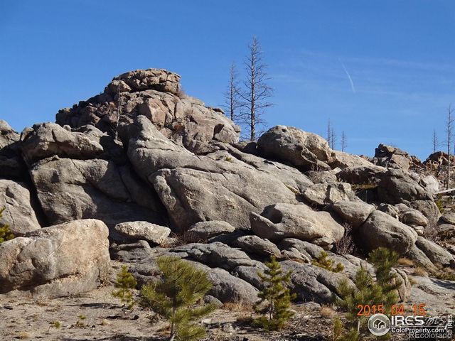 2315 Ridge Road, Nederland, CO 80466