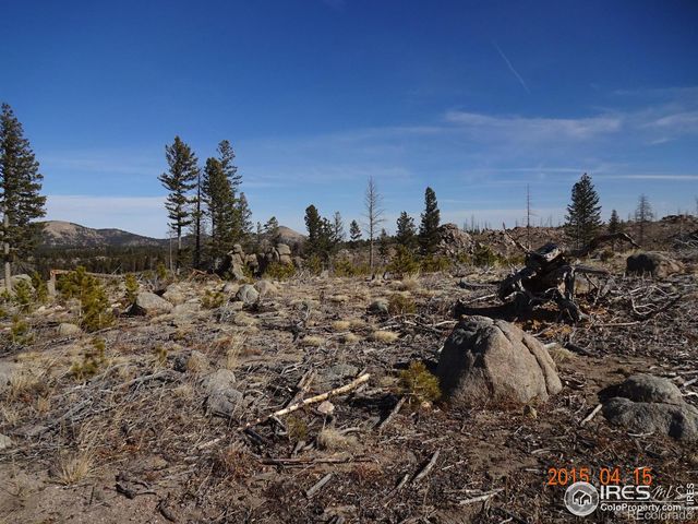 2315 Ridge Road, Nederland, CO 80466