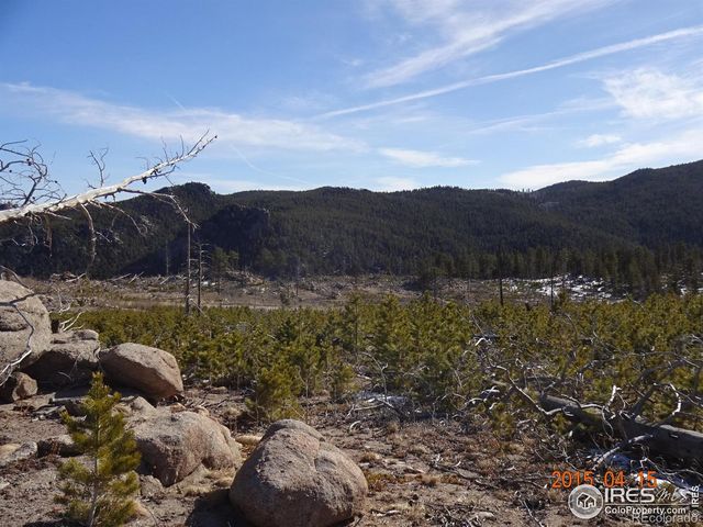 2315 Ridge Road, Nederland, CO 80466