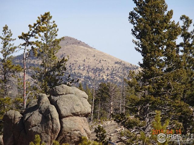 2315 Ridge Road, Nederland, CO 80466