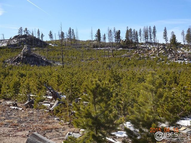 2315 Ridge Road, Nederland, CO 80466