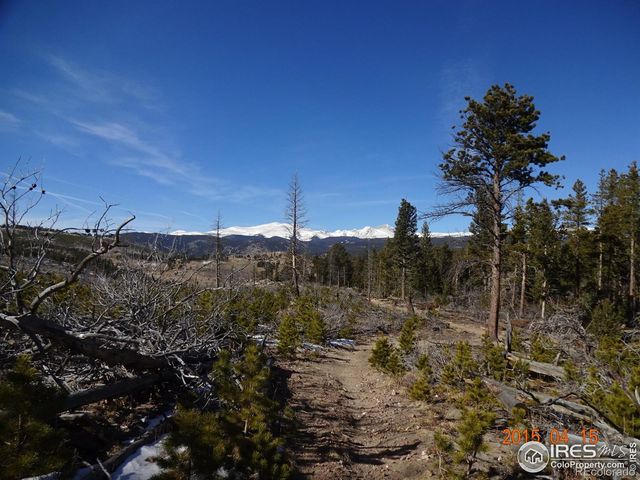 2315 Ridge Road, Nederland, CO 80466