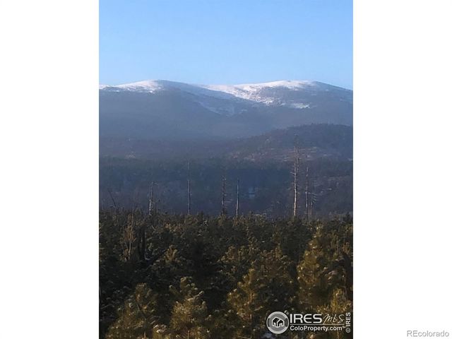 2315 Ridge Road, Nederland, CO 80466