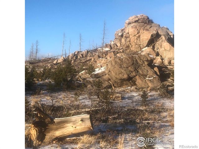 2315 Ridge Road, Nederland, CO 80466