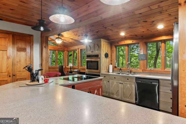 398 Mountain Tops Circle, Blue Ridge, GA 30513