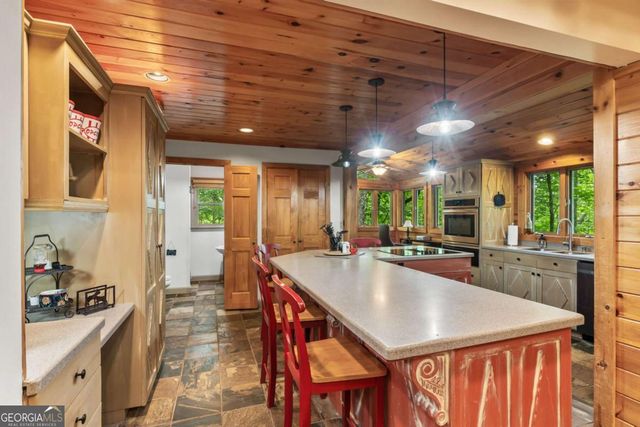 398 Mountain Tops Circle, Blue Ridge, GA 30513