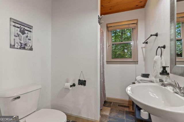 398 Mountain Tops Circle, Blue Ridge, GA 30513
