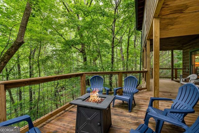 398 Mountain Tops Circle, Blue Ridge, GA 30513
