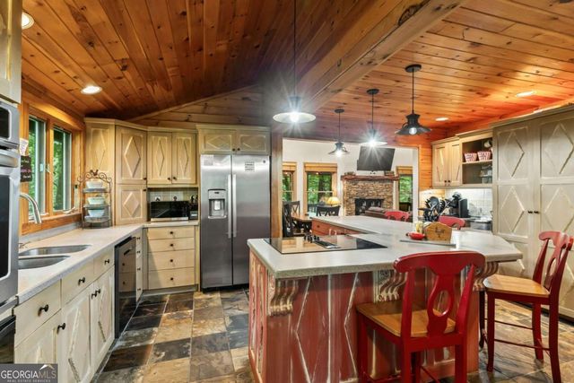398 Mountain Tops Circle, Blue Ridge, GA 30513