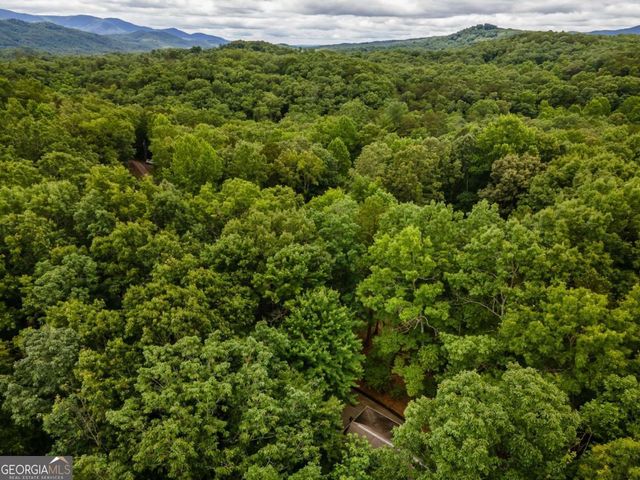 398 Mountain Tops Circle, Blue Ridge, GA 30513