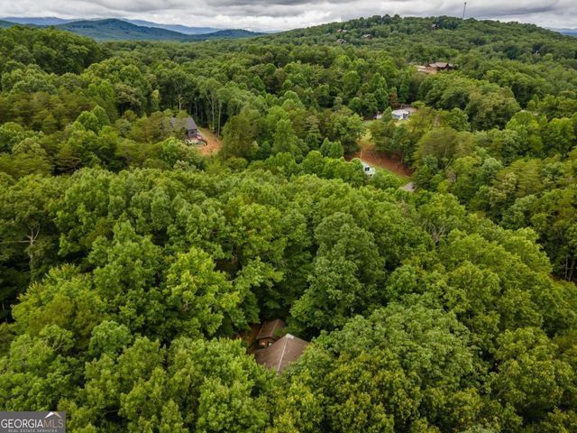 398 Mountain Tops Circle, Blue Ridge, GA 30513