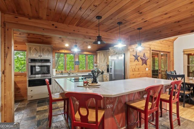 398 Mountain Tops Circle, Blue Ridge, GA 30513