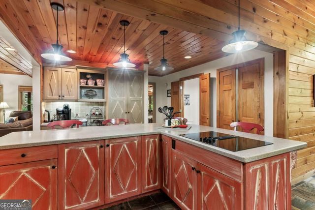 398 Mountain Tops Circle, Blue Ridge, GA 30513