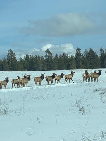 1508 W Latting Ln, Deer Park, WA 99006