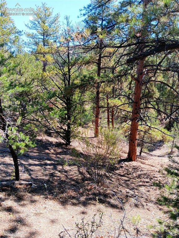 TR-21 43rd Trail, Cotopaxi, CO 81223 — photo 2