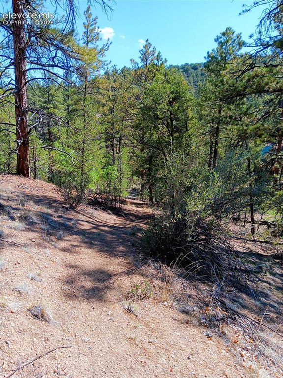 TR-21 43rd Trail, Cotopaxi, CO 81223 — photo 3