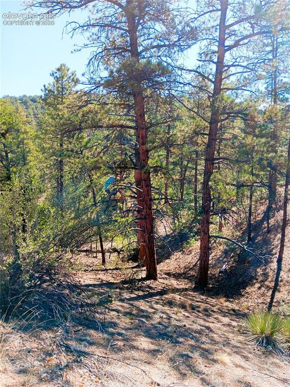 TR-21 43rd Trail, Cotopaxi, CO 81223 — photo 4