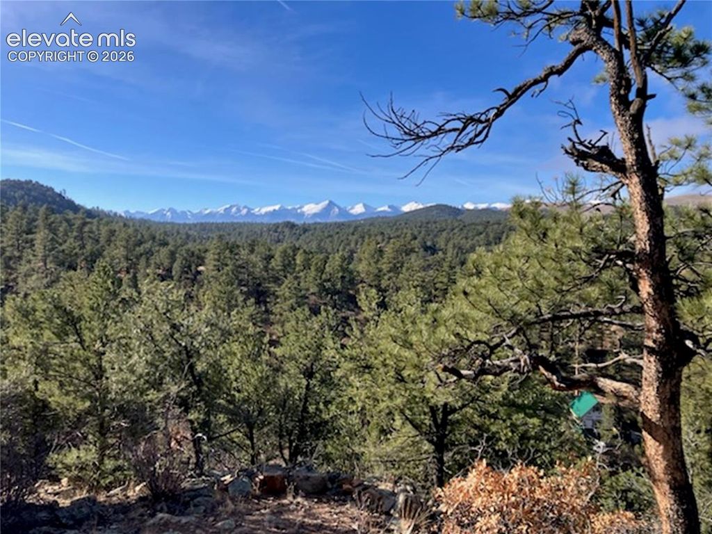 TR-21 43rd Trail, Cotopaxi, CO 81223 — photo 5