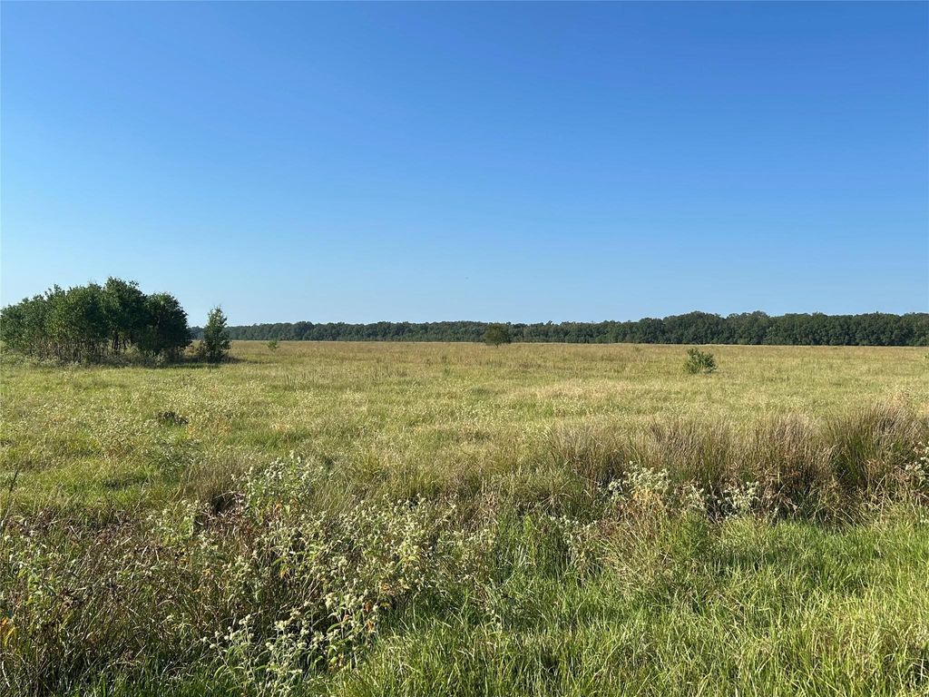 Lot 63 Minnie West Rd Drive, Hull, TX 77564