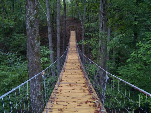 613 Waters Edge Dr, Estill Springs, TN 37330