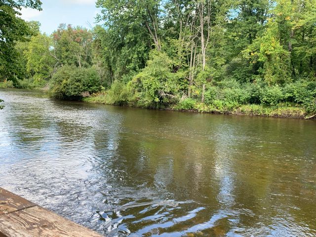 15070 Rapids Drive, Hersey, MI 49639