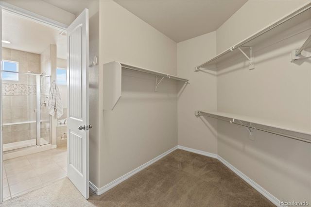 5910 Monashee Court, Colorado Springs, CO 80924