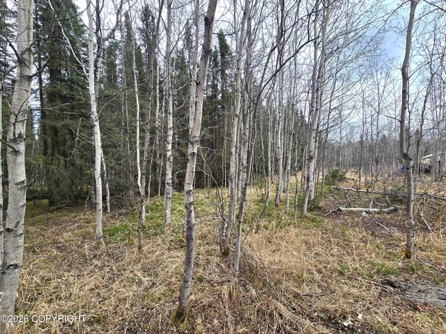 36096 Magnolia Street, Soldotna, AK 99669