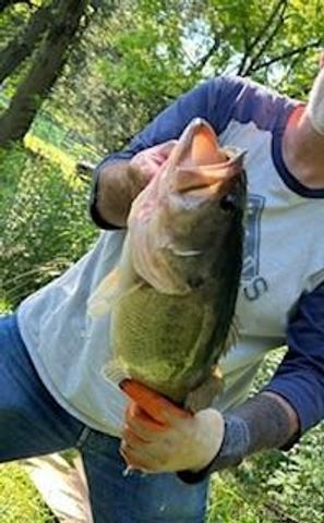 132 Hurd Road, Canton, NC 28716